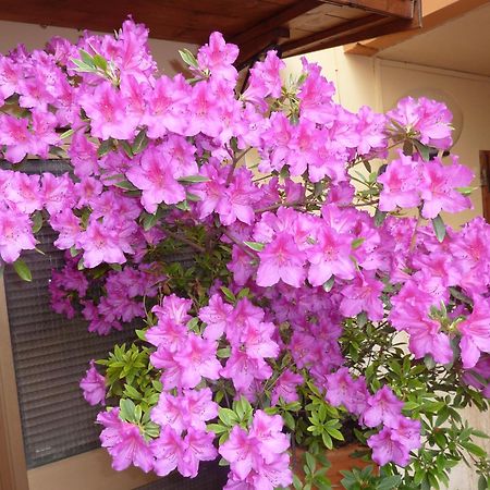 Primettahouse Otel San Gimignano Dış mekan fotoğraf